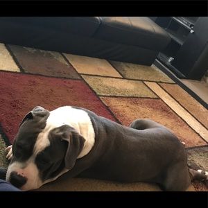 Meet your Posher, Mario